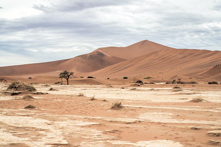 NAM HAR Sossusvlei 2016NOV21 DeadVlei 001