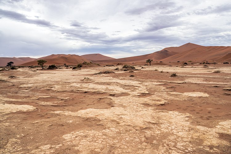 NAM HAR Sossusvlei 2016NOV21 DeadVlei 002