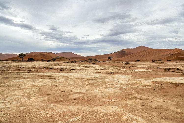 NAM HAR Sossusvlei 2016NOV21 DeadVlei 003
