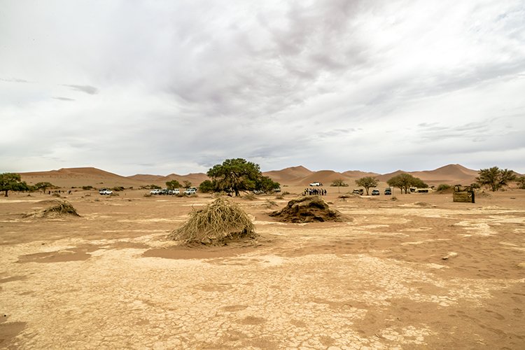 NAM HAR Sossusvlei 2016NOV21 DeadVlei 004