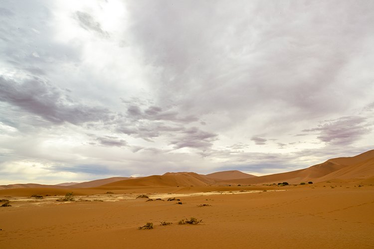 NAM HAR Sossusvlei 2016NOV21 DeadVlei 006