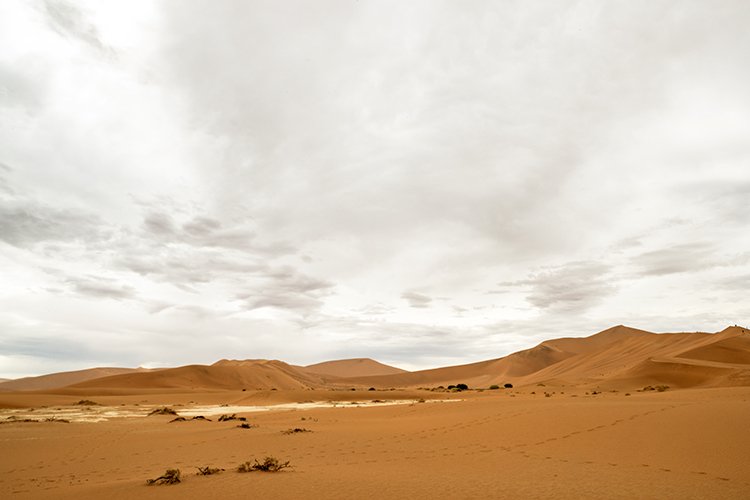 NAM HAR Sossusvlei 2016NOV21 DeadVlei 007