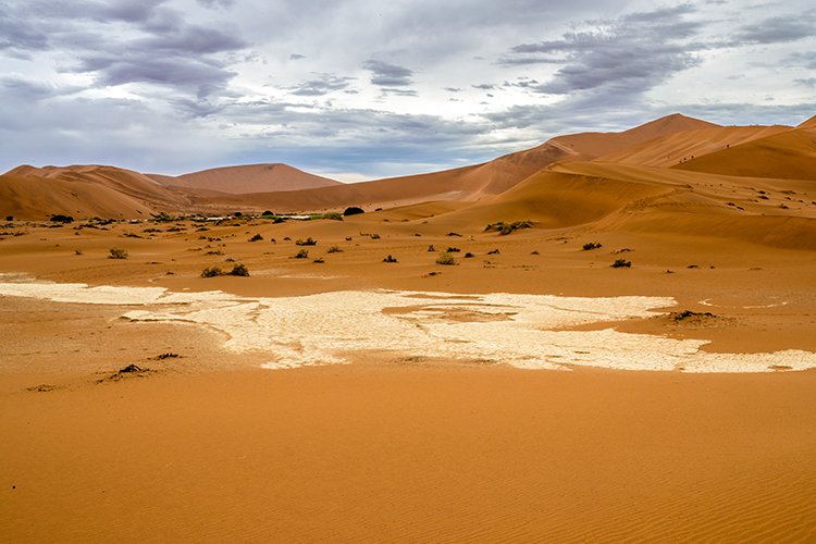 NAM HAR Sossusvlei 2016NOV21 DeadVlei 009