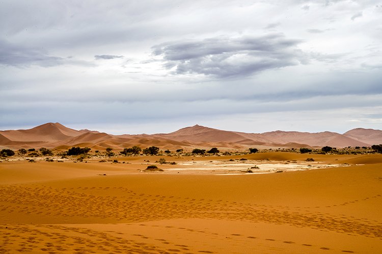 NAM HAR Sossusvlei 2016NOV21 DeadVlei 010