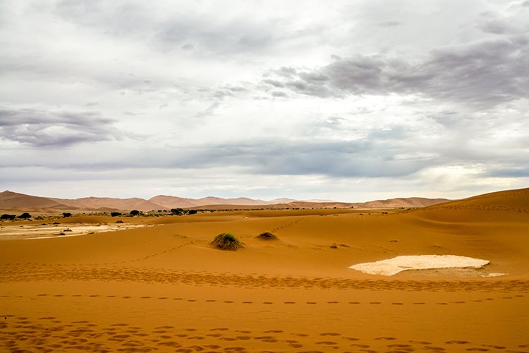 NAM HAR Sossusvlei 2016NOV21 DeadVlei 011