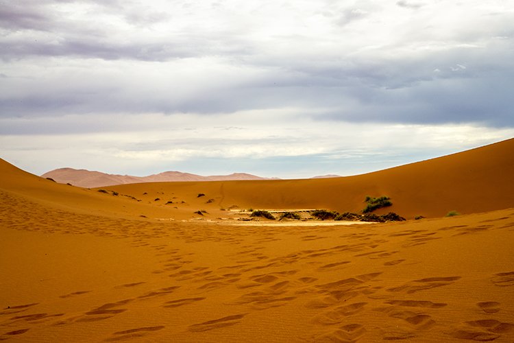 NAM HAR Sossusvlei 2016NOV21 DeadVlei 012