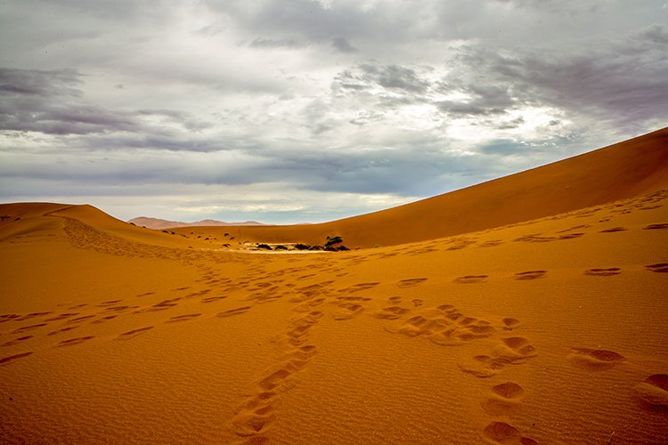 NAM HAR Sossusvlei 2016NOV21 DeadVlei 013