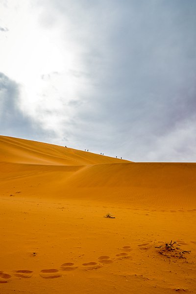 NAM HAR Sossusvlei 2016NOV21 DeadVlei 014