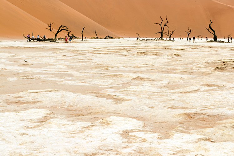 NAM HAR Sossusvlei 2016NOV21 DeadVlei 017