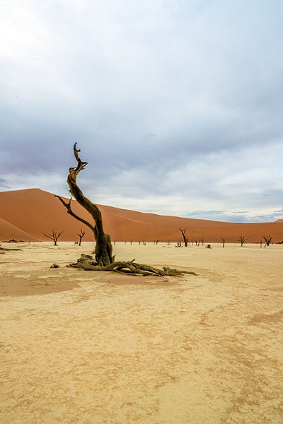 NAM HAR Sossusvlei 2016NOV21 DeadVlei 018