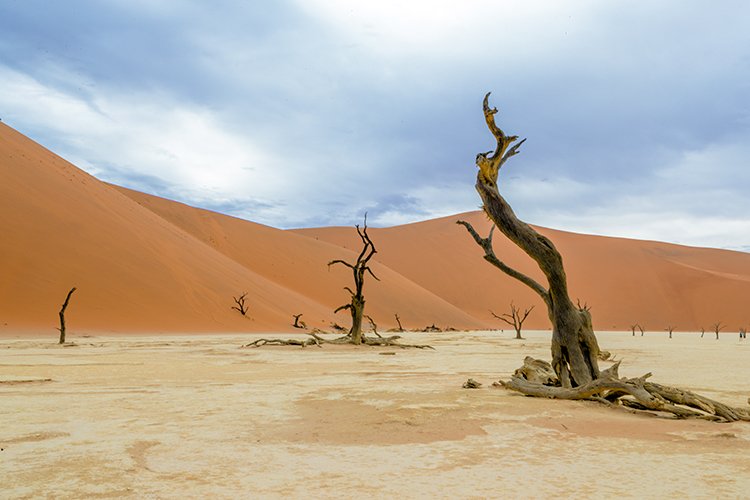 NAM HAR Sossusvlei 2016NOV21 DeadVlei 020