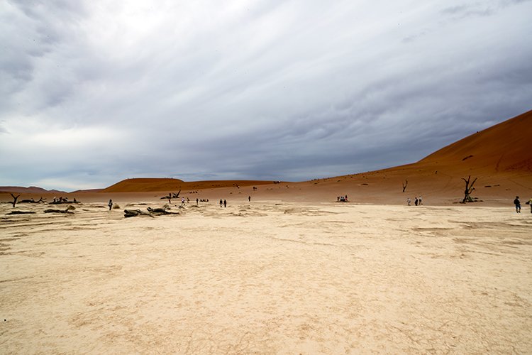 NAM HAR Sossusvlei 2016NOV21 DeadVlei 022