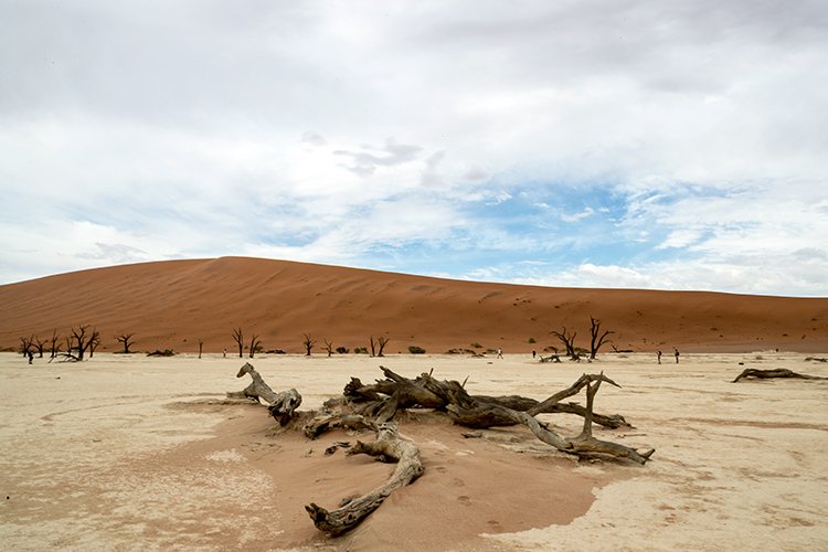 NAM HAR Sossusvlei 2016NOV21 DeadVlei 023