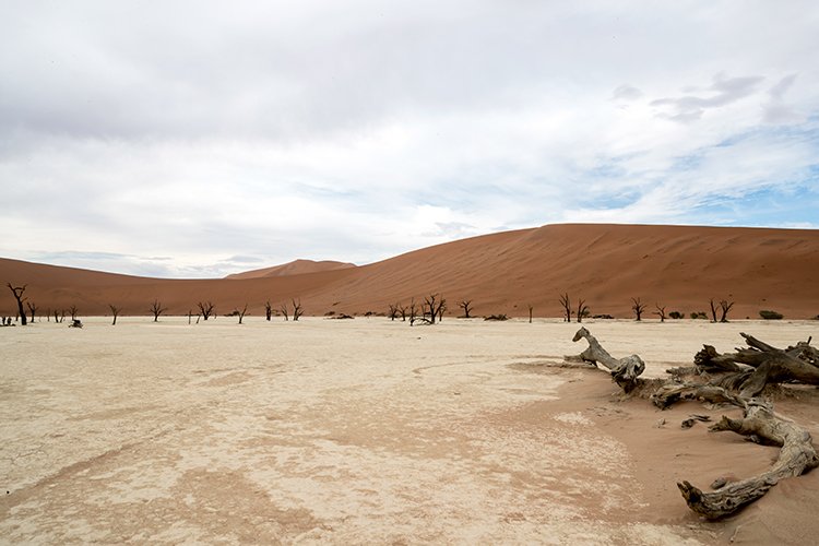 NAM HAR Sossusvlei 2016NOV21 DeadVlei 024