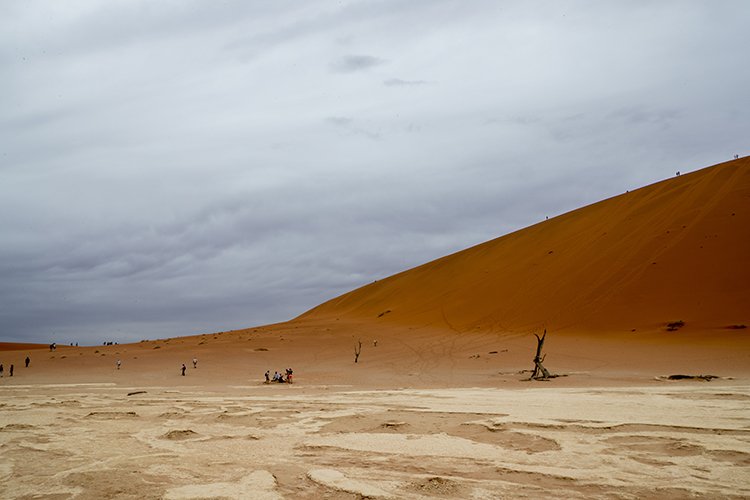NAM HAR Sossusvlei 2016NOV21 DeadVlei 025