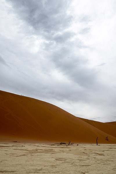 NAM HAR Sossusvlei 2016NOV21 DeadVlei 026