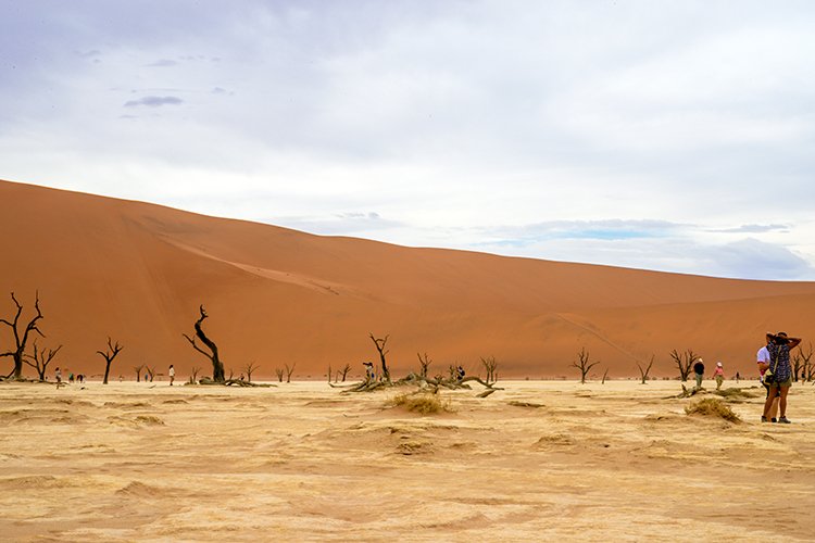 NAM HAR Sossusvlei 2016NOV21 DeadVlei 027