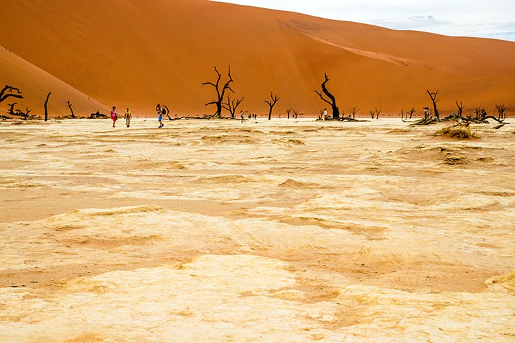 NAM HAR Sossusvlei 2016NOV21 DeadVlei 028