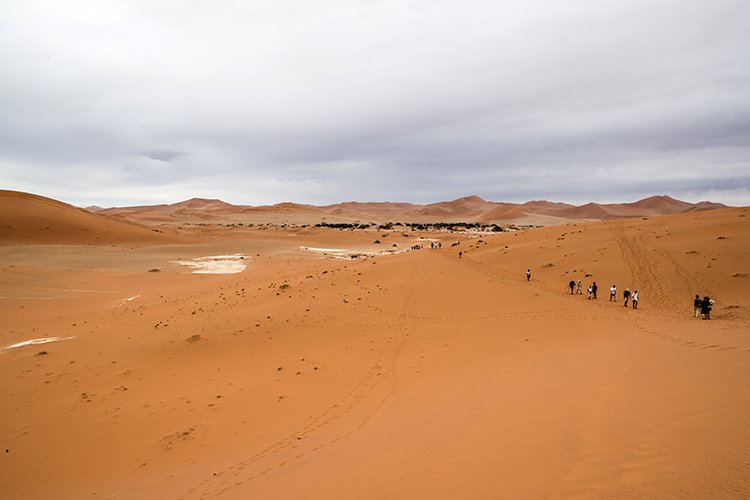 NAM HAR Sossusvlei 2016NOV21 DeadVlei 031