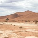 NAM HAR Sossusvlei 2016NOV21 DeadVlei 001 : Sossusvlei, Hardap, Namibia, Southern, Africa, Dead Vlei, 2016 - African Adventures, November, 2016