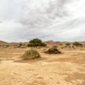NAM HAR Sossusvlei 2016NOV21 DeadVlei 004 : Sossusvlei, Hardap, Namibia, Southern, Africa, Dead Vlei, 2016 - African Adventures, November, 2016