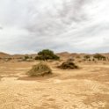 NAM_HAR_Sossusvlei_2016NOV21_DeadVlei_004.jpg