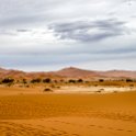 NAM HAR Sossusvlei 2016NOV21 DeadVlei 010 : Sossusvlei, Hardap, Namibia, Southern, Africa, Dead Vlei, 2016 - African Adventures, November, 2016