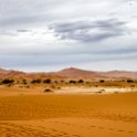 NAM_HAR_Sossusvlei_2016NOV21_DeadVlei_010.jpg