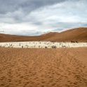 NAM HAR Sossusvlei 2016NOV21 DeadVlei 016 : Sossusvlei, Hardap, Namibia, Southern, Africa, Dead Vlei, 2016 - African Adventures, November, 2016