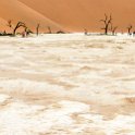 NAM HAR Sossusvlei 2016NOV21 DeadVlei 017 : Sossusvlei, Hardap, Namibia, Southern, Africa, Dead Vlei, 2016 - African Adventures, November, 2016