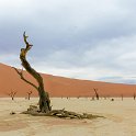 NAM HAR Sossusvlei 2016NOV21 DeadVlei 019 : Sossusvlei, Hardap, Namibia, Southern, Africa, Dead Vlei, 2016 - African Adventures, November, 2016