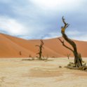 NAM HAR Sossusvlei 2016NOV21 DeadVlei 020 : Sossusvlei, Hardap, Namibia, Southern, Africa, Dead Vlei, 2016 - African Adventures, November, 2016