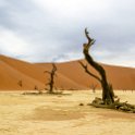 NAM HAR Sossusvlei 2016NOV21 DeadVlei 021 : Sossusvlei, Hardap, Namibia, Southern, Africa, Dead Vlei, 2016 - African Adventures, November, 2016