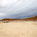 NAM HAR Sossusvlei 2016NOV21 DeadVlei 022 : Sossusvlei, Hardap, Namibia, Southern, Africa, Dead Vlei, 2016 - African Adventures, November, 2016