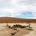 NAM HAR Sossusvlei 2016NOV21 DeadVlei 023 : Sossusvlei, Hardap, Namibia, Southern, Africa, Dead Vlei, 2016 - African Adventures, November, 2016