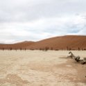 NAM HAR Sossusvlei 2016NOV21 DeadVlei 024 : Sossusvlei, Hardap, Namibia, Southern, Africa, Dead Vlei, 2016 - African Adventures, November, 2016