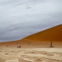 NAM HAR Sossusvlei 2016NOV21 DeadVlei 025 : Sossusvlei, Hardap, Namibia, Southern, Africa, Dead Vlei, 2016 - African Adventures, November, 2016