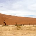NAM HAR Sossusvlei 2016NOV21 DeadVlei 027 : Sossusvlei, Hardap, Namibia, Southern, Africa, Dead Vlei, 2016 - African Adventures, November, 2016