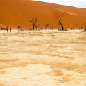 NAM HAR Sossusvlei 2016NOV21 DeadVlei 028 : Sossusvlei, Hardap, Namibia, Southern, Africa, Dead Vlei, 2016 - African Adventures, November, 2016