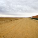 NAM HAR Sossusvlei 2016NOV21 TsauchabRiver 003 : 2016, November, Sossusvlei, Hardap, Namibia, Southern, Africa, Tsauchab River, 2016 - African Adventures