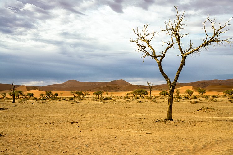 NAM HAR Sossusvlei 2016NOV21 001