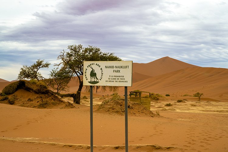 NAM HAR Sossusvlei 2016NOV21 007