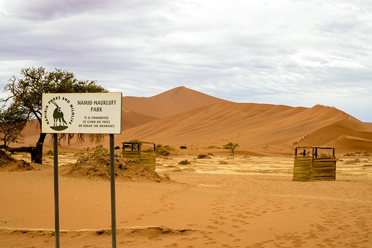 NAM HAR Sossusvlei 2016NOV21 008
