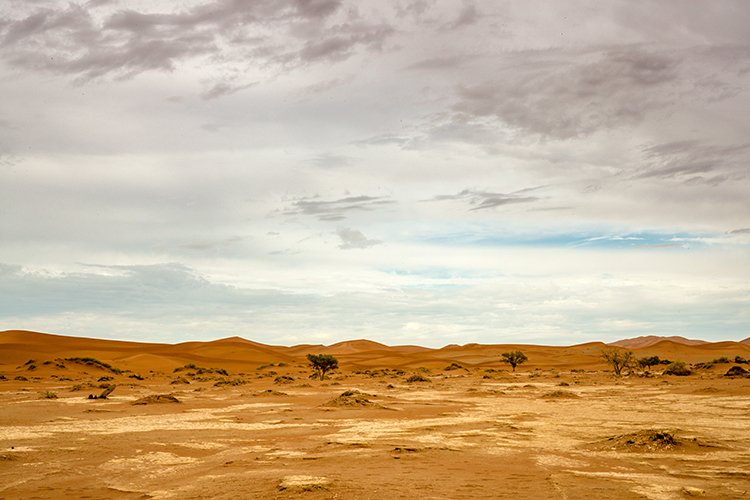 NAM HAR Sossusvlei 2016NOV21 009