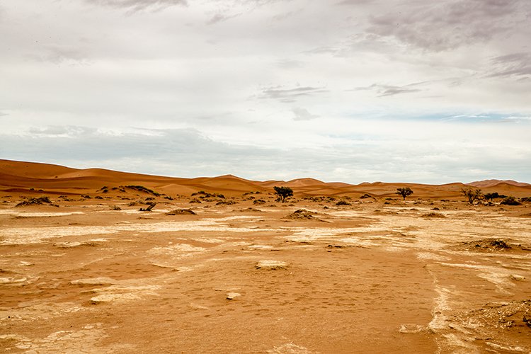 NAM HAR Sossusvlei 2016NOV21 010