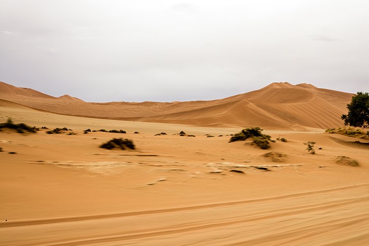 NAM HAR Sossusvlei 2016NOV21 011
