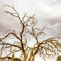 NAM HAR Sossusvlei 2016NOV21 003