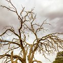 NAM HAR Sossusvlei 2016NOV21 004