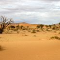 NAM HAR Sossusvlei 2016NOV21 005