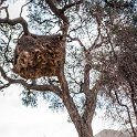 NAM HAR Zaras 2016NOV20 002 : 2016 - African Adventures, Hardap, Namibia, Southern, Africa, Zaras, 2016, November